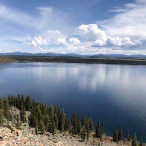 Meet your Posher, Teresa